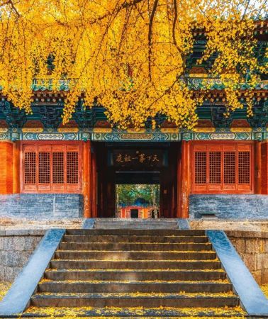 5天4晚 • 鄭州＋洛陽＋少林寺　「無購物行程、無車上推銷，真正享受純觀光旅遊」