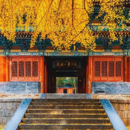 洛阳+登封+宋陵+观星台景区+千唐志斋-西沃石窟6日5晚私家团