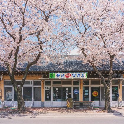 韩国济州岛6日5晚私家团