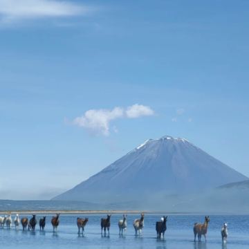 利马省+库斯科大区+圣谷6日5晚私家团