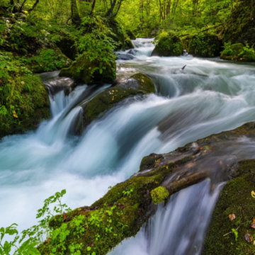日本青森+盛冈6日5晚私家团