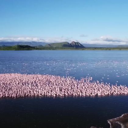 肯尼亚安波塞利国家公园+地狱之门国家公园+奈瓦沙湖+纳库鲁湖国家公园+马赛马拉国家保护区12日9晚跟团游