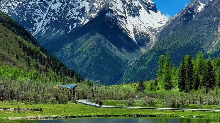 5D4N · Private Tours · Western Sichuan for Nature Lovers: Daocheng Yading, Mount Siguniang, Xinduqiao & Yuzixi - Snow Mountains, Tibetan Grasslands & Starry Skies