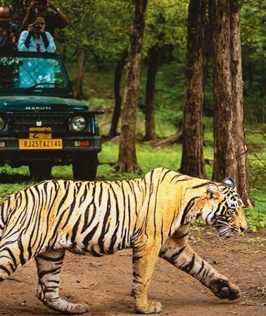 6D5N • 6 Days Golden Triangle Tour with Ranthambore Tiger Safari