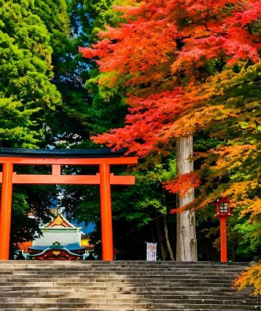 6D5N • Kyushu Autumn Foliage Discovery: Kumamoto Castle, Sakurajima, Sengan-en, Takachiho Gorge, and Ibusuki Sand Bath