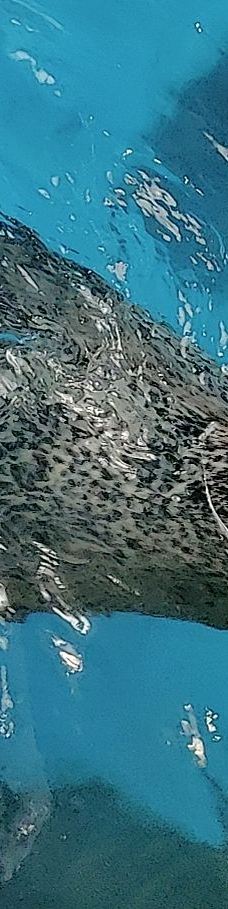 合肥海洋世界-合肥