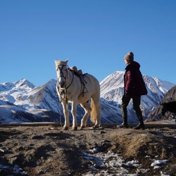 格鲁吉亚+阿塞拜疆+亚美尼亚15日14晚私家团
