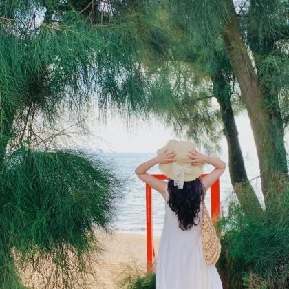 厦门+鼓浪屿5日4晚私家团