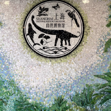 博物馆讲解·上海自然博物馆·半日亲子营，【讲解 +门票】，对话自然科学 探索自然奥秘 寻找远古印记