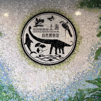 博物馆讲解·上海自然博物馆·半日亲子营，【讲解 +门票】，对话自然科学 探索自然奥秘 寻找远古印记