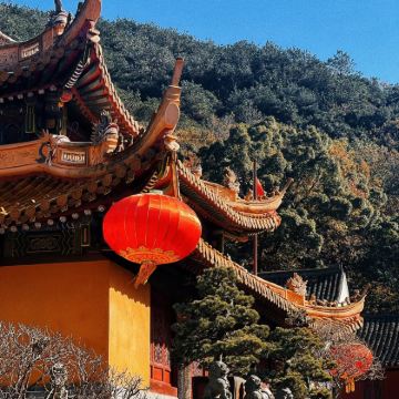 浙江普陀山+洛迦山4日3晚跟团游