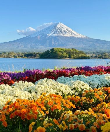 3天2晚 • 日本河口湖＋富士山＋箱根＋鎌倉市