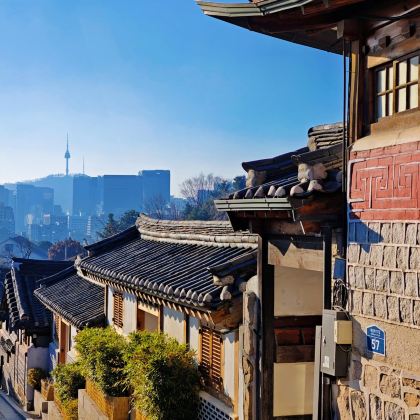 韩国大邱桐华寺7日6晚私家团
