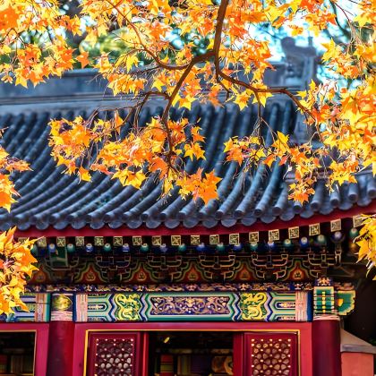 沈阳4日3晚自由行