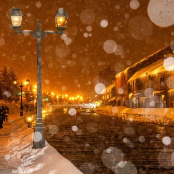 日本北海道7日6晚私家团