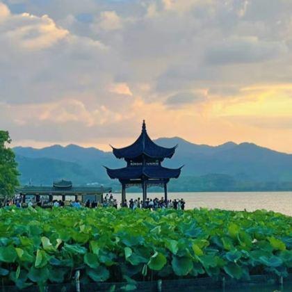 南京+无锡+苏州+杭州+上海+乌镇7日6晚拼小团