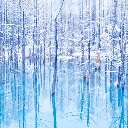 日本北海道+东京6日5晚私家团