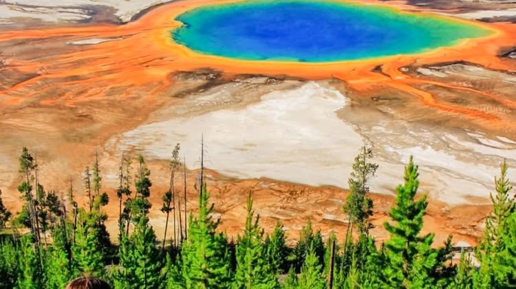 <5天>【5人私享迈巴赫 | 4进黄石深度巡礼 | 门票一价全含】波兹曼进出·3晚连住老忠实+大提顿东西线全览+拉马山谷追踪野生动物+可选罗斯福骑马&野味牛排烧烤(国家公园门票&服务费&外国人附加费全含、赠FUJi/依云矿泉水、望远镜、雨具等)