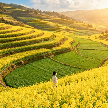 云南昆明+罗平+建水+元阳+弥勒6日5晚跟团游