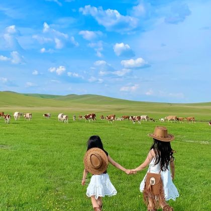 北戴河+承德+坝上+乌兰布统草原5日4晚拼小团