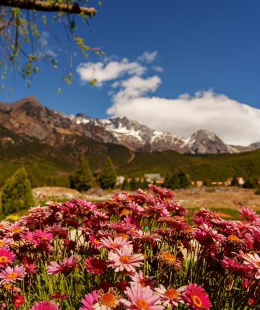 4D3N•Luxury Stay - Hilton or 5-star hotel - Jiuzhaigou + Huanglong + Panda Valley + Dujiangyan + Mt. Siguniang - Summer Escape, All Tickets, Nature, Pandas, Culture & Snow Peaks