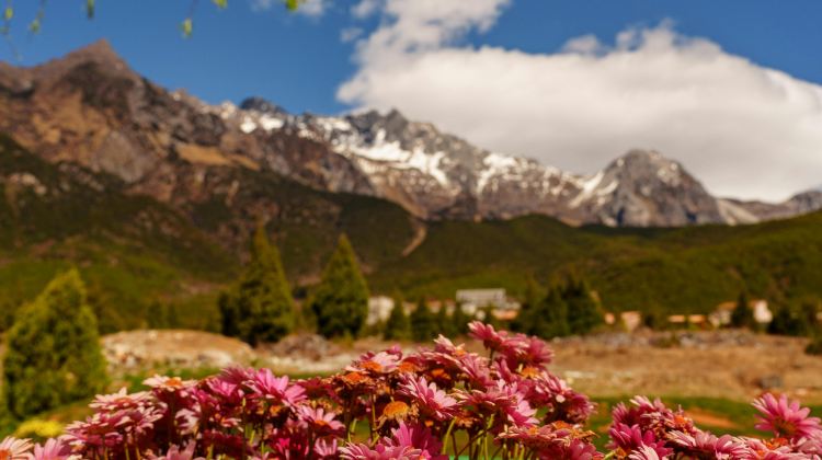 6D5N · Private Tours · Jiuzhaigou + Huanglong+ Panda Valley + Dujiangyan + Mt. Siguniang - Summer Escape - Airport Transfer included - Free Time in Chengdu