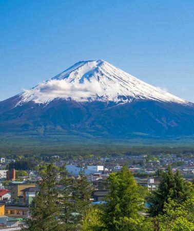 8D7N • Tokyo & Mount Fuji Tour: Airport Transfers + Full Stay at Downtown Tokyo Hotels + 2 Days of Free Time + Tokyo Disney + Hakone + Odawara