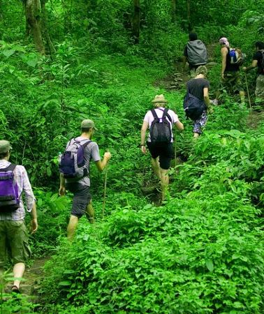 2D1N • 2-day Authentic Trekking North-Thailand (starts from Chiang Mai)