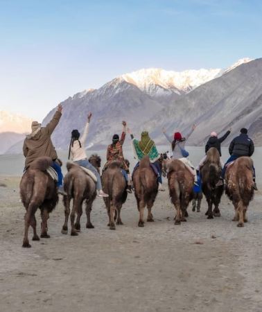 6D5N • Leh: 6-Day Nubra Valley, Pangong Lake and Sham Valley Tour