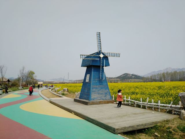 青岛西海岸生态观光园旅行图片 2