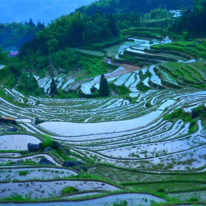 缙云+丽水+松阳+云和+景宁+神仙居5日4晚私家团