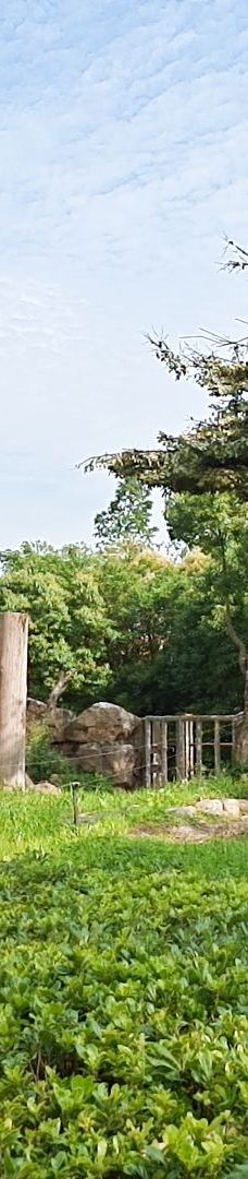 上海野生动物园-上海