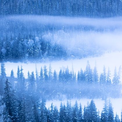 新疆北疆+喀纳斯+禾木风景区7日6晚自由行