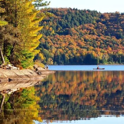 加拿大多伦多+阿尔冈金省立公园+马斯科卡湖+尼亚加拉瀑布4日3晚私家团