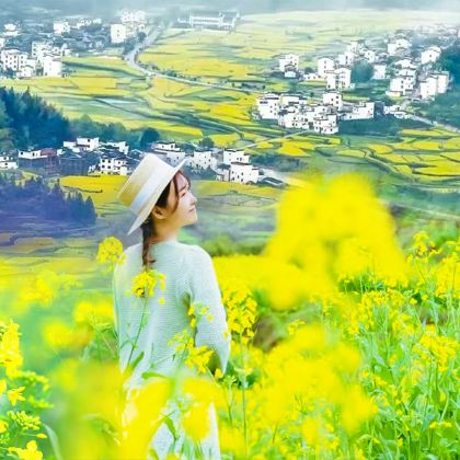 江西庐山+婺源篁岭景区3日2晚私家团