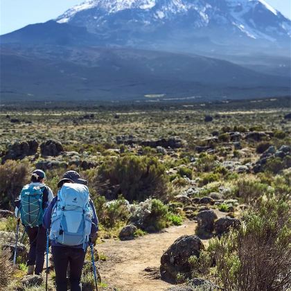 登山·乞力马扎罗国家公园+乞力马扎罗山7日6晚私家团