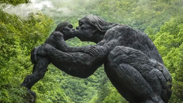 神农架、宜昌+5