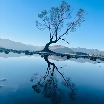 新西兰5日4晚私家团