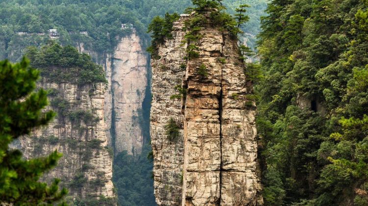 5D4N · Private Tours · Beat the summer heat in Zhangjiajie's cool forests. Enjoy private guided tours, water activities, and flexible vehicle upgrades for your group.