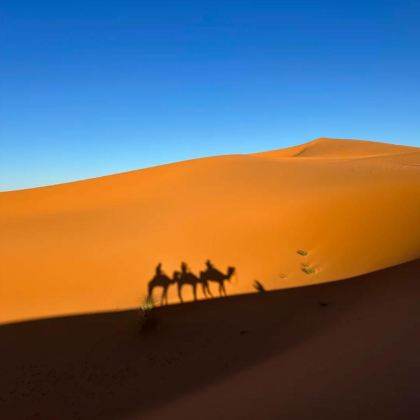 摩洛哥卡萨布兰卡-塞塔特大区+马拉喀什+撒哈拉沙漠8日7晚私家团