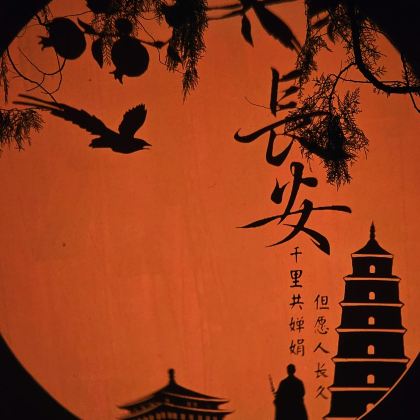 河南郑州+洛阳+西安7日6晚私家团