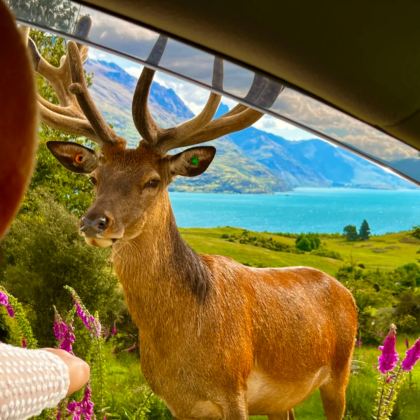 新西兰+斐济13日12晚私家团