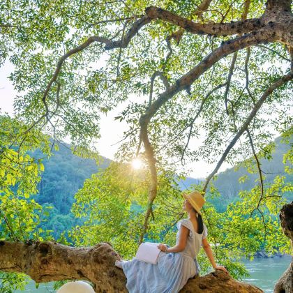 云南昆明+芒市+瑞丽+腾冲+普洱+西双版纳10日9晚跟团游