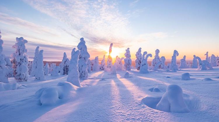 <6天>【鐵發 縱貫拉普蘭極光破冰之旅】·瑞典+芬蘭+挪威 可升級玻璃屋/天空套房：聖誕老人村+極地探險號破冰船+捕撈帝王蟹+馴鹿農場+狗拉雪橇+雪地摩托追極光+極地博物館