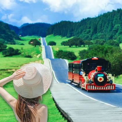 重庆5日4晚拼小团