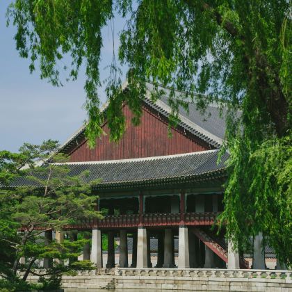 韩国首尔5日4晚私家团