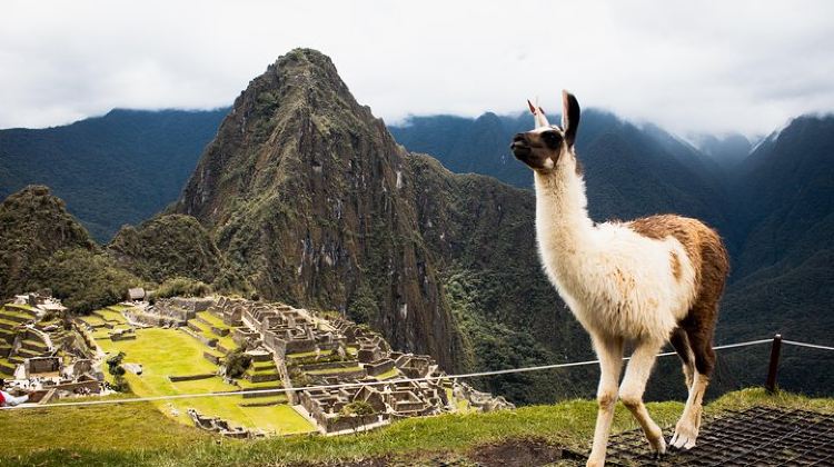 5D4N · Group Tours · 5-Day ||All Included|| Excursion to Machupicchu,Humantay Lake & Rainbow Mountain