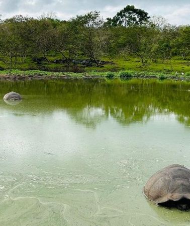 4D3N • "Galapagos Discovery Premium – Bay Tour - 4 Days / 3 Nights"