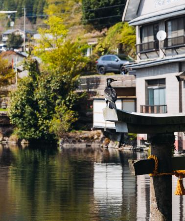 11D10N • Tokyo, Mount Fuji, Kyoto and Treasures of Kyushu