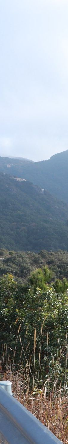 广东第一峰旅游风景区-阳山